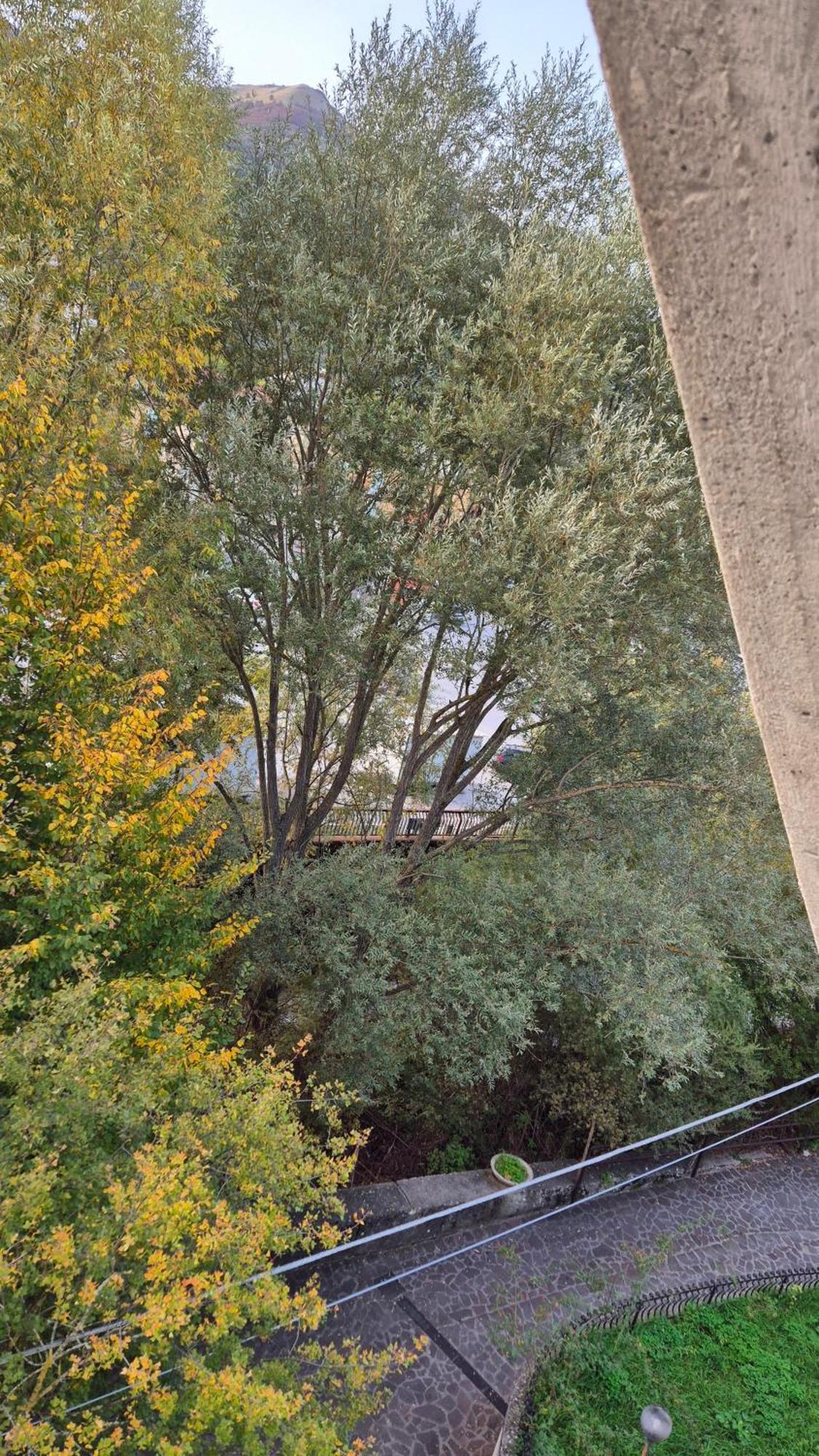 Zia Peppa Lägenhet Castel Di Sangro Exteriör bild